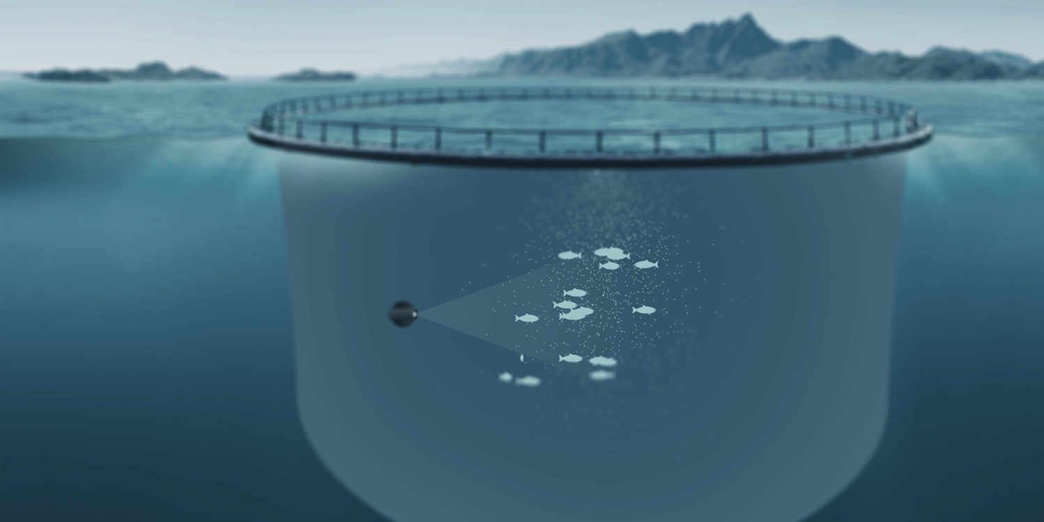 DrawTools Bildet viser oppplæringsskjerm