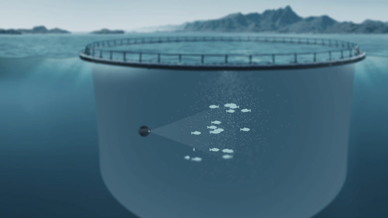 Bildet viser oppplæringsskjerm