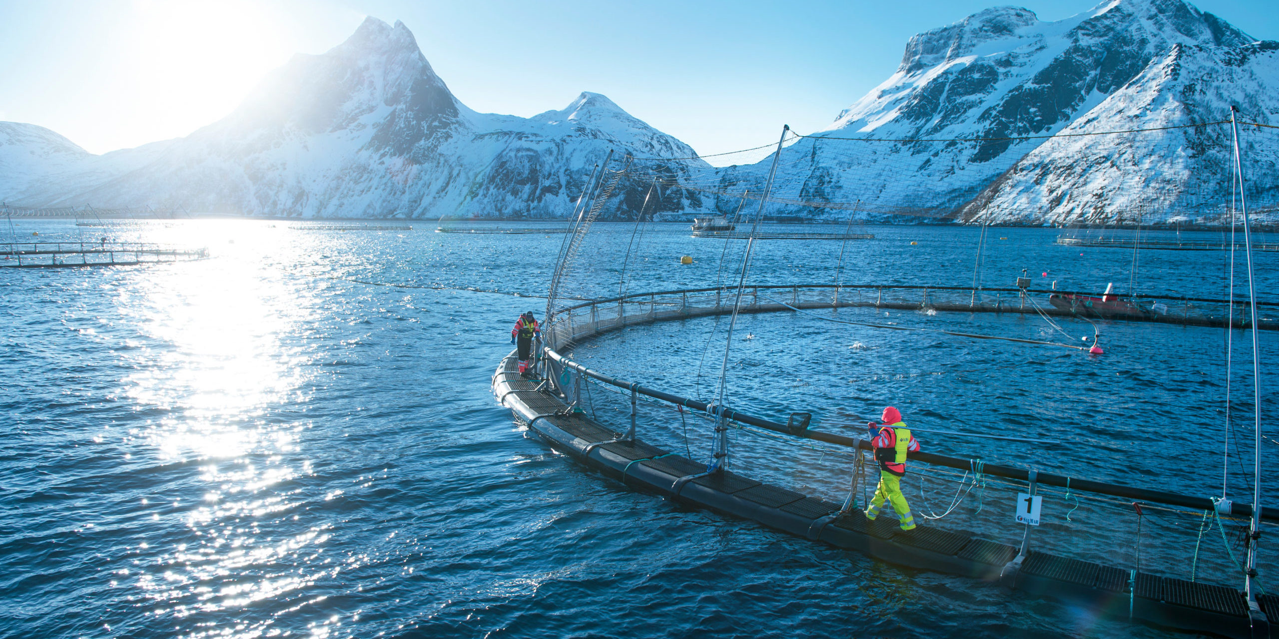 Oppdrettsmerd Oppdrettsmerd med høye fjell i bakgrunn. Foto.