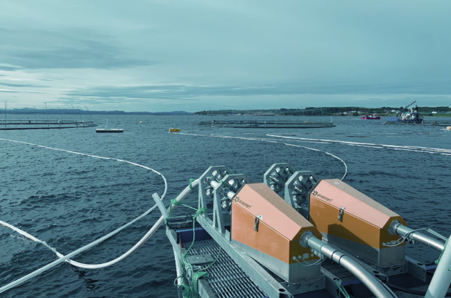 Fôringsystem med sjø i bakgrunn. Foto