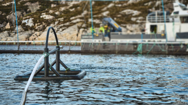 Spillfree_DSC0624