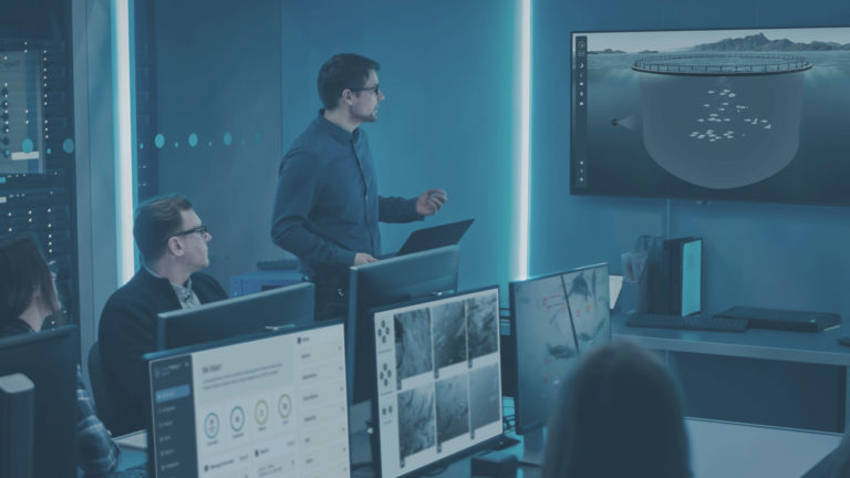 PC-skjermer og mennesker. Illustrasjon