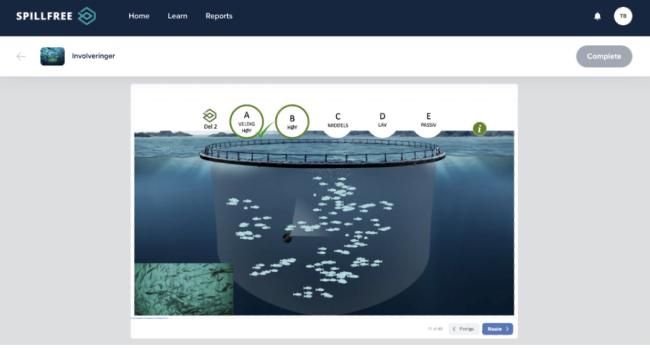 Spillfree-Feedhub Oppdrettsmerd med fisk sett under vann. Illustrasjon