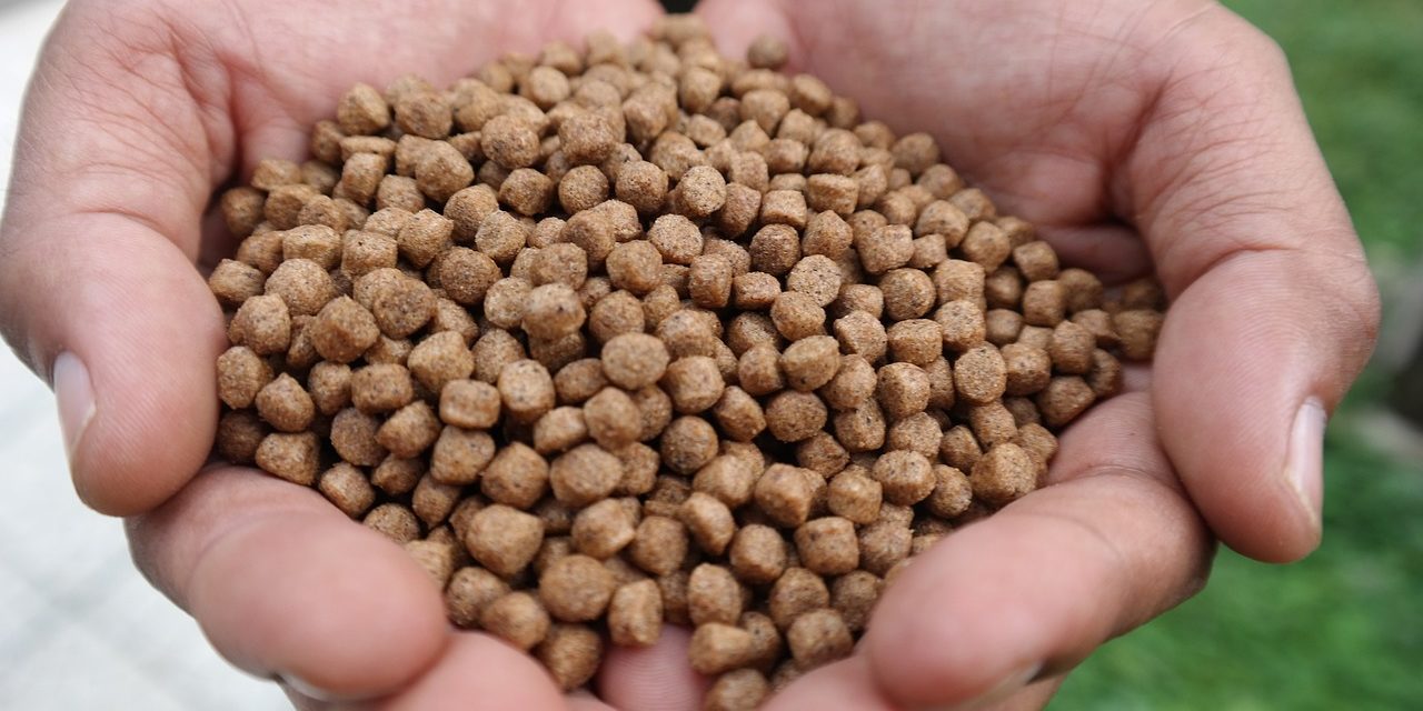 fish-food-g206c55636_1280 Bildet viser fiskefôr