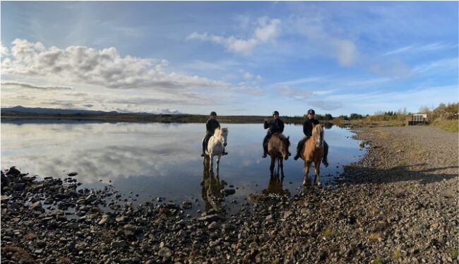 Hest island Hester Island