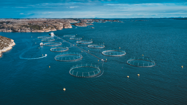 AI-artikkel Dronebilde av oppdrettsanlegg.
